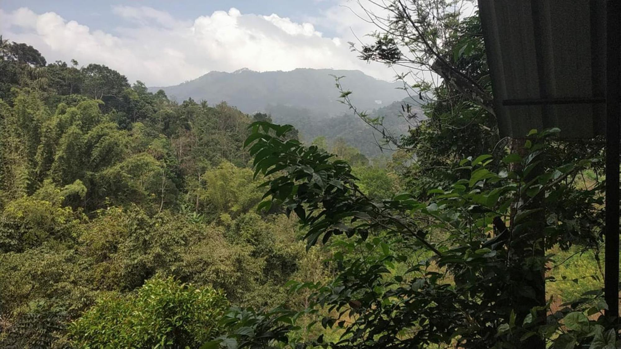 Moselberg Riverside Cottages Munnar Room photo